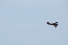 IMG_0934