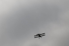 IMG_1095