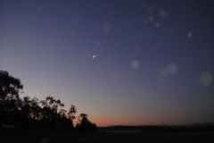 DSC00690-2