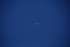 dsc0041