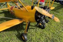 Shep-25-4