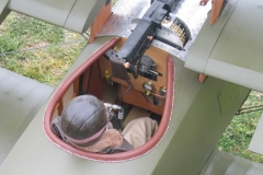 shep40